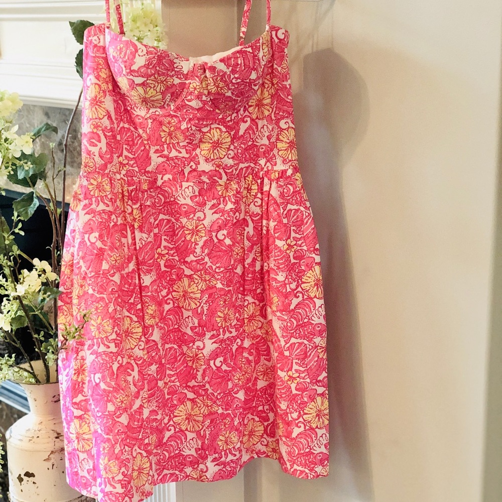 Lilly Pulitzer Georgie “chum bucket” Dress